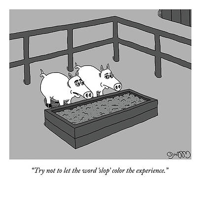 Pig Drawing - The Slop Experience by JC Duffy