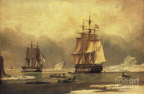 Whaling Paintings for Sale by Bridgeman Images
