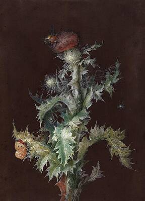 Insects Painting - Thistle With Insects by Johann Christoph Dietzsch
