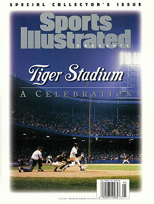Tiger Stadium Night Game Scene Wall Art