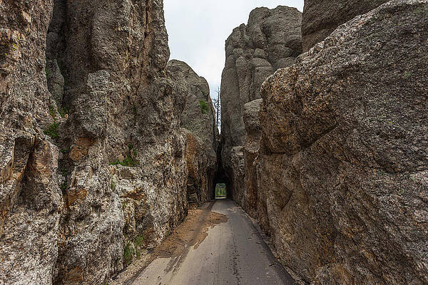 Tight Squeeze by Chris Spencer