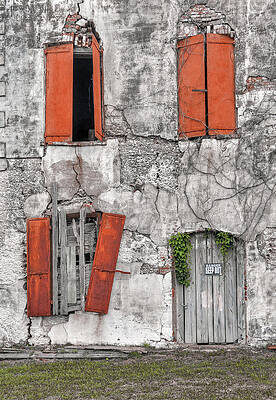 Photograph - Time And Texture by Randall Dill