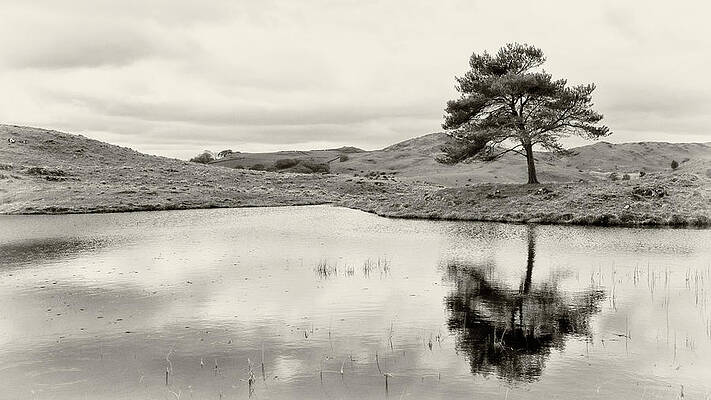 Country Wall Art featuring the photograph Torver by Nicholas Blackwell