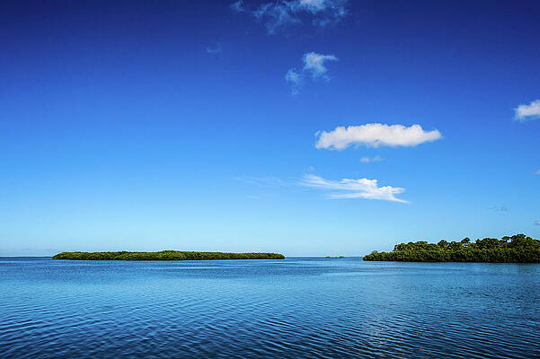 Landscape Photograph - Touch Of Green by Joe Leone