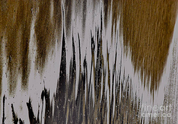 Wall Art featuring the photograph Traces Of  Polihale Sand Dreams by Debra Banks