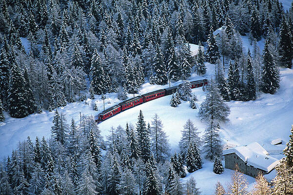 Travel Digital Art - Train Passing Through Forest by Livio Piatta