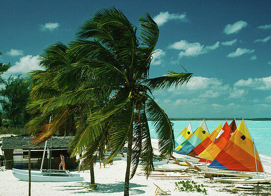 Sunny Beach with Colorful Sails Wall Art