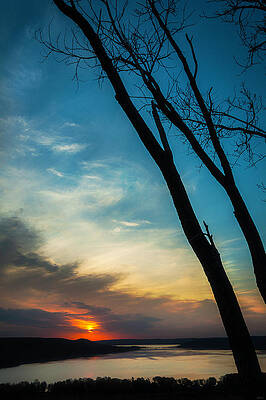 Tree Wall Art featuring the photograph Tree Silhouettes At Sunrise by Owen Weber