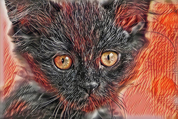 Happy Digital Art - Triangle Face Kitten by Don Northup