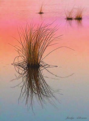 Wall Art featuring the photograph Tufts At Sunset by Jacalyn Ackerman