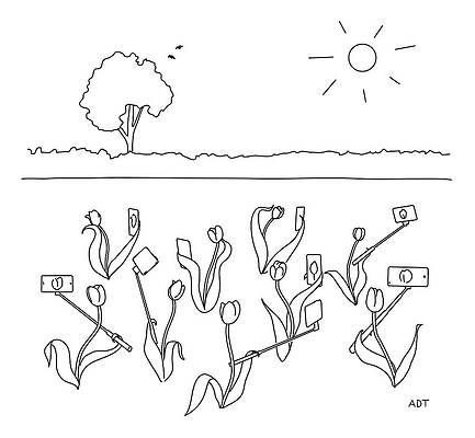 Sunshine Wall Art featuring the drawing Tulip Selfies by Adam Douglas Thompson