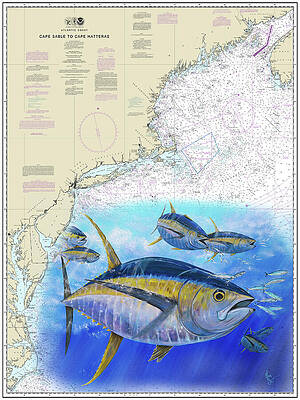 Tuna Painting - Tuna Chart by Mark Ray