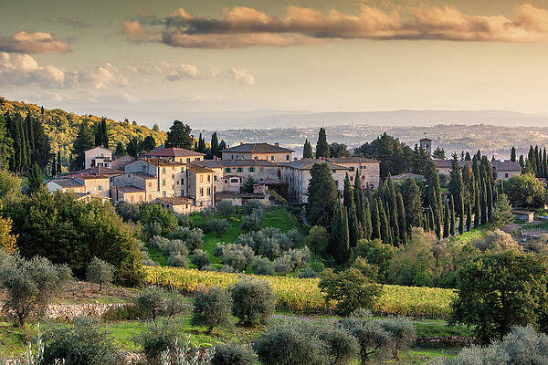 Wine Wall Art featuring the digital art Tuscany, Chianti, Fonterutoli, Italy by Guido Baviera