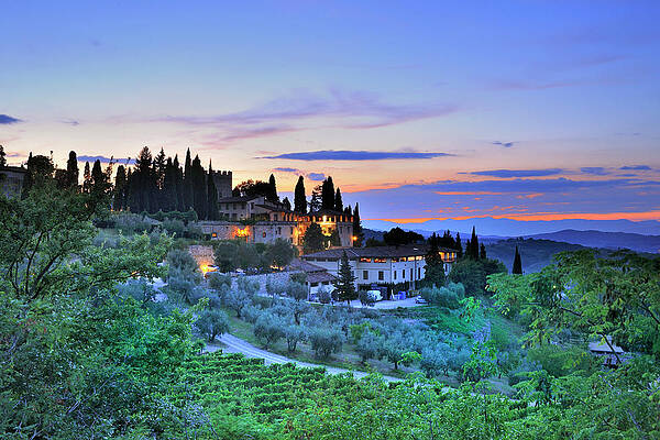 Eurasian Digital Art - Tuscany, Farm, Vineyards, Italy by Luca Da Ros