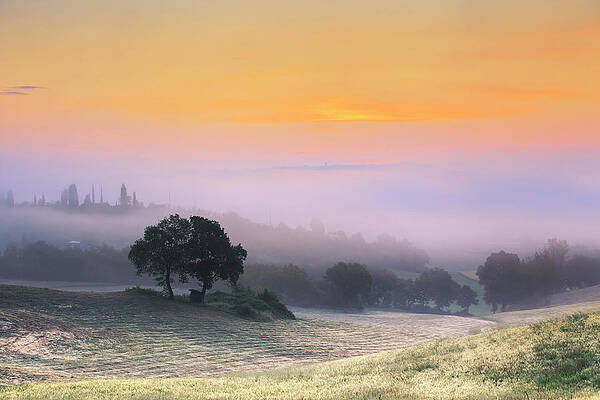 Foggy Wall Art featuring the digital art Tuscany, Foggy Sunrise On The Hills by Maurizio Rellini