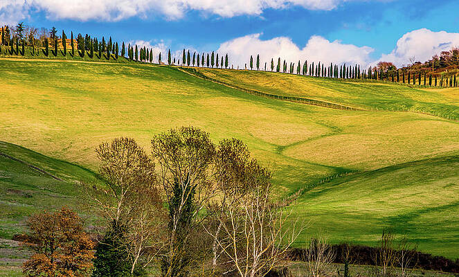 Spring Photograph - Tuscany Love by Marcy Wielfaert