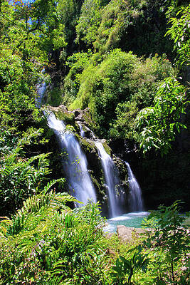 Island Wall Art featuring the photograph Upper Waikani Falls, Vertical by Dawn Richards