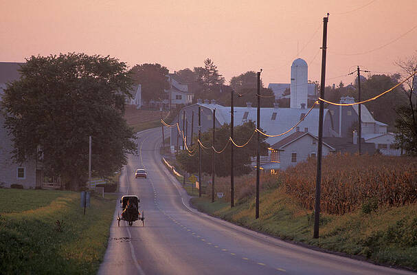 Country Wall Art featuring the digital art Usa, Horse Buggy, Amish Country by Heeb Photos
