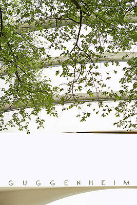 Travel Digital Art - Usa, New York City, Museum Mile by Richard Taylor