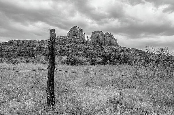 Arizona Photograph - Variations On Cathedral Rock by Douglas Wielfaert