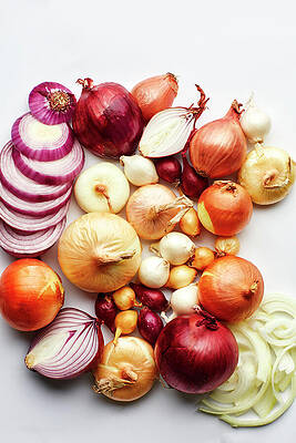 Red Digital Art - Varieties Of Alliums by Emma Fishman