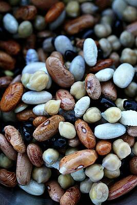 Various Types Of Dried Beans Print