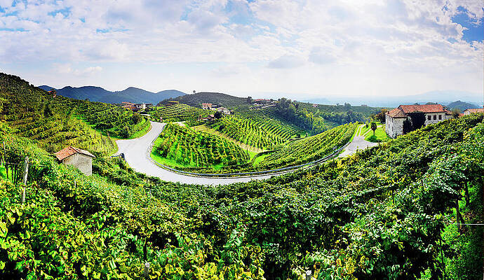 Sky Digital Art - Veneto, Prosecco Road, Italy by Luca Da Ros