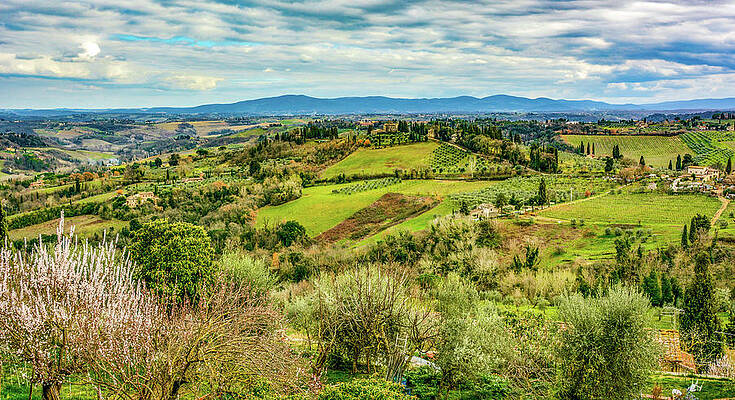 Spring Photograph - Verdant Tuscan Springtime by Marcy Wielfaert