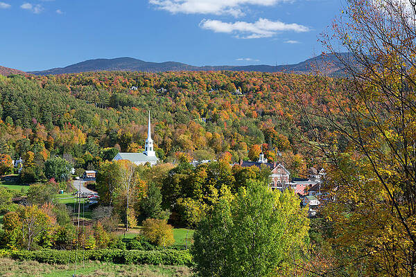 Autumn Wall Art featuring the digital art Village With Trees In Autumn by Tim Mannakee
