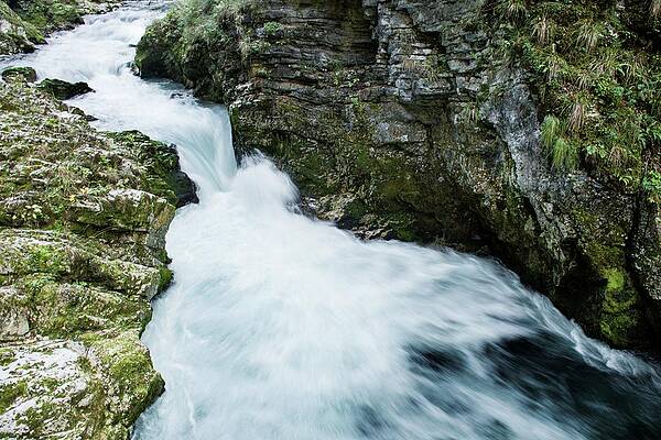 Landmark Photograph - Vintgar Gorge by Robert Grac
