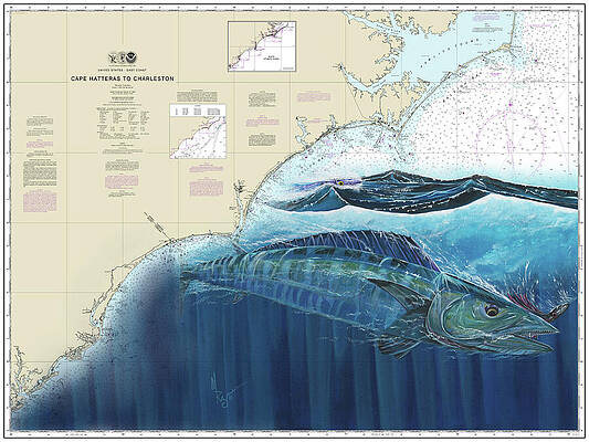 Wahoo Chart Print