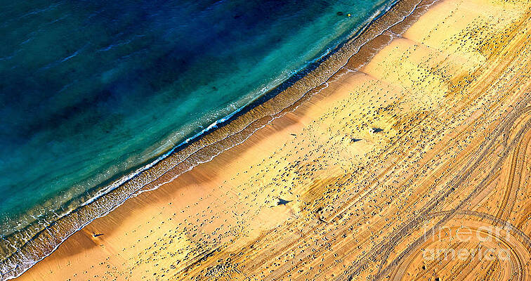 Wall Art featuring the photograph Waikiki Beach Footprints by Debra Banks