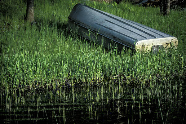 Wall Art featuring the photograph Waiting At Waters Edge by Jeff Phillippi