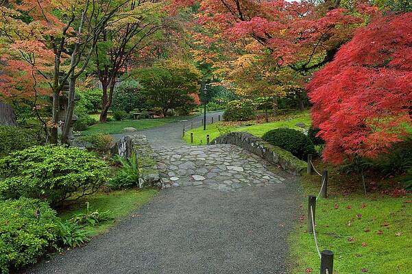 Autumn Wall Art featuring the digital art Washington, Seattle, Fall Colors And A Stone Bridge In The Japanese Garden In The University Of Washington Arboretum by Greg Probst
