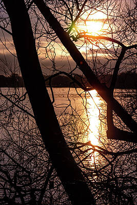 Sky Photograph - Water Through The Trees Red by Scott Lyons