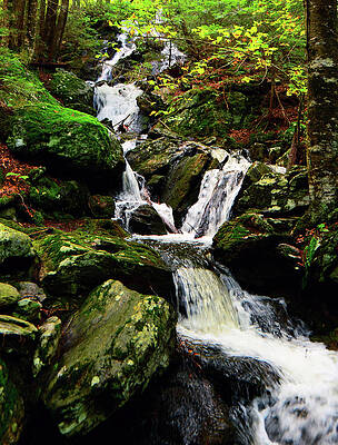 Wall Art featuring the photograph Waterfall Into Sages Ravine by Raymond Salani III