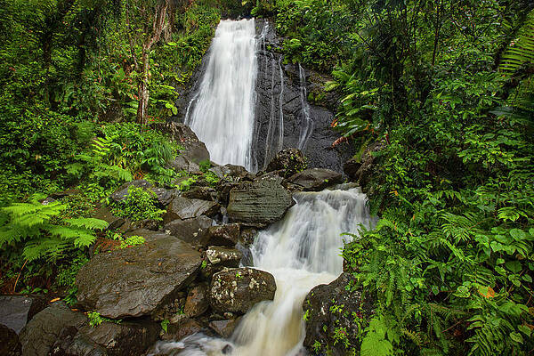 Caribbean Wall Art featuring the digital art Waterfall, Yunque Nat'l Forest, Pr by Claudia Uripos