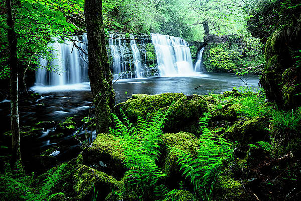 Serene Waterfall in Lush Forest Digital Art
