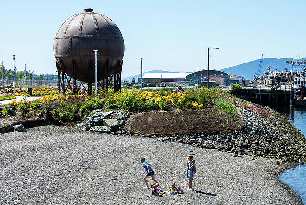Beach Photograph - Waypoint Park Beach Babies by Tom Cochran