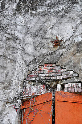 Photograph - Weathered by Randall Dill