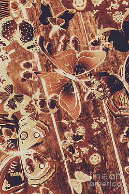 Rustic Photograph - Weathered Wings by Jorgo Photography