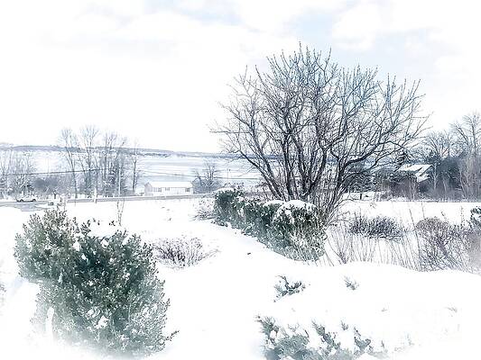 Spring Wall Art featuring the photograph Welcome March by William Norton