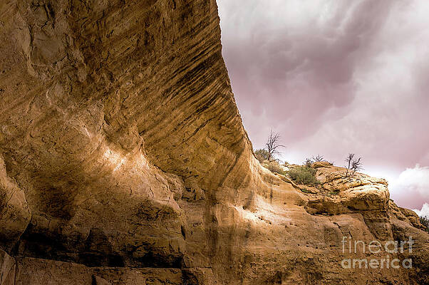 Colorado Photograph - Wetherill Mesa by Blake Webster