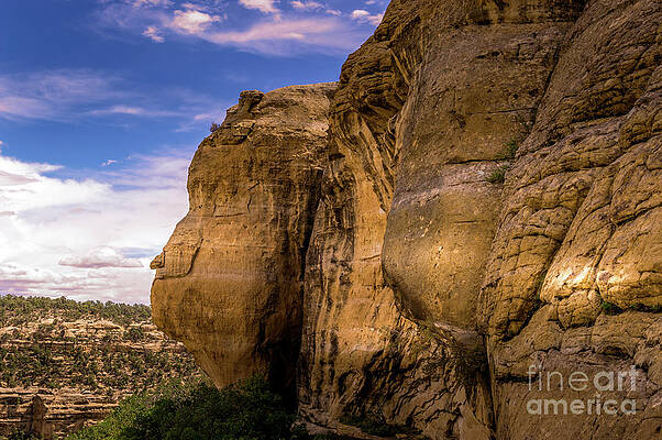 Colorado Photograph - Wetherill Mesa Trail by Blake Webster