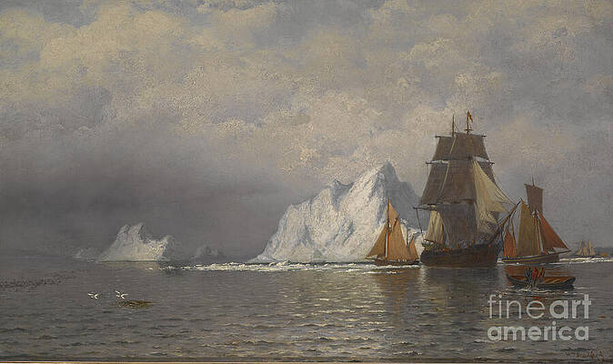 Whaling Paintings for Sale by Bridgeman Images
