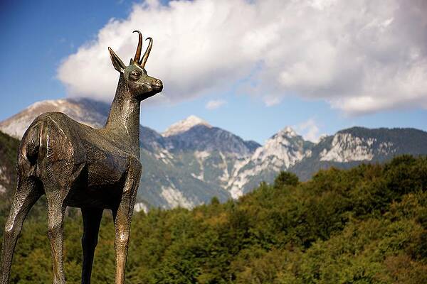 Landmark Photograph - What Is There by Robert Grac