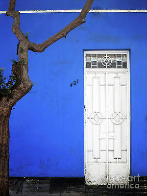 When a Tree Comes Knocking by Rick Locke - Out of the Corner of My Eye