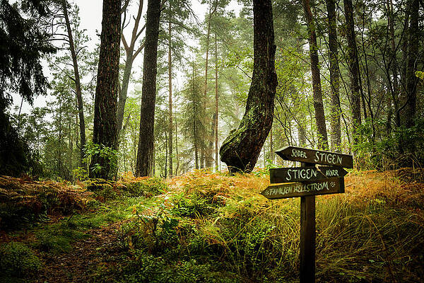 Natural Photograph - Where North Meets South by David Morefield