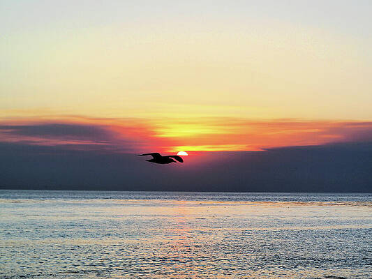 Sky Wall Art featuring the photograph While California Burns by Joe Schofield