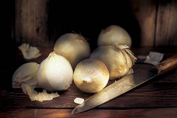 White Onions On A Wooden Table With A Knife Print